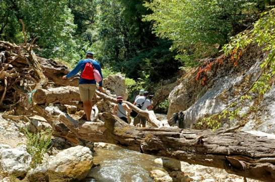 IMG 8Bb1e24a3cb003b11013ae5eb66a85a0 V