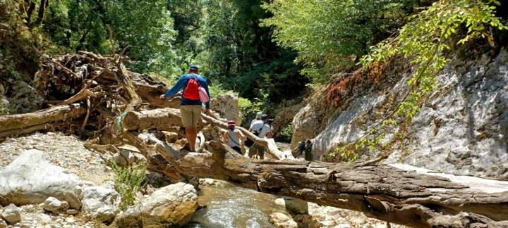 IMG 8Bb1e24a3cb003b11013ae5eb66a85a0 V