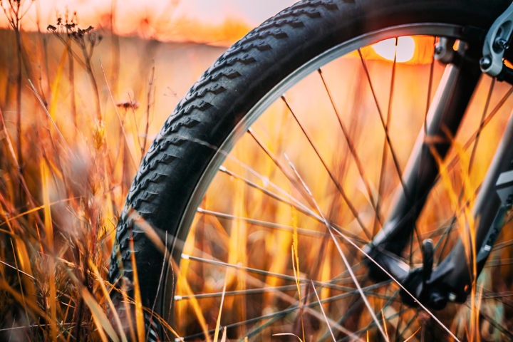 Bicycle Wheel In Dry Autumn Meadow Original 1277632 Ebike Krania Milia Metsovo Sitegallery 2