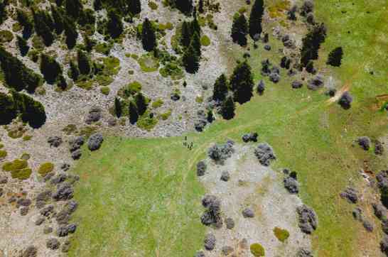 DJI 20260426131138 0419 D