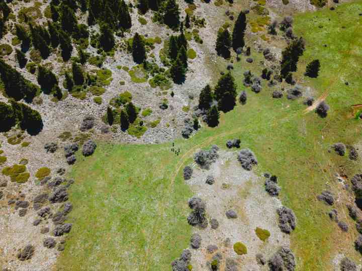 DJI 20260426131138 0419 D