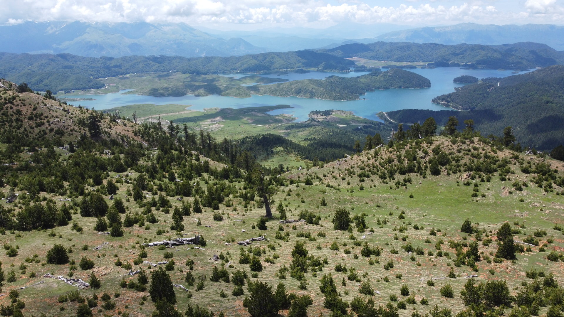 ΘΕΑ ΠΡΟΣ ΤΗΝ ΤΕΧΝΗΤΗ ΛΙΜΝΗ ΠΗΔΩΝ ΑΩΟΥ