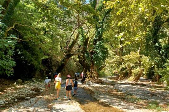 IMG Cc29d78ef36594a0459d7a5235caeb99 V