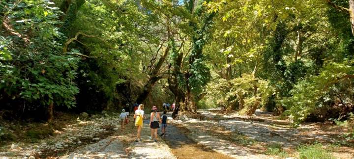 IMG Cc29d78ef36594a0459d7a5235caeb99 V