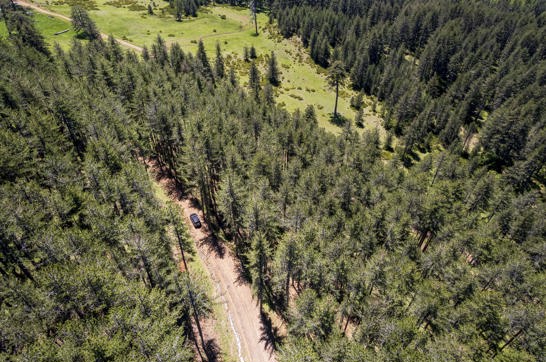 DJI 0253Sitegallery