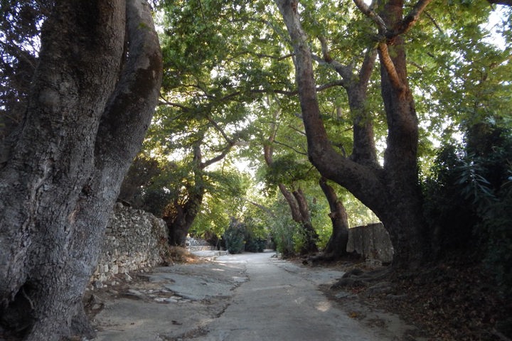 DSCN2724 Picturesque Naxos Hike Sitegallery 23