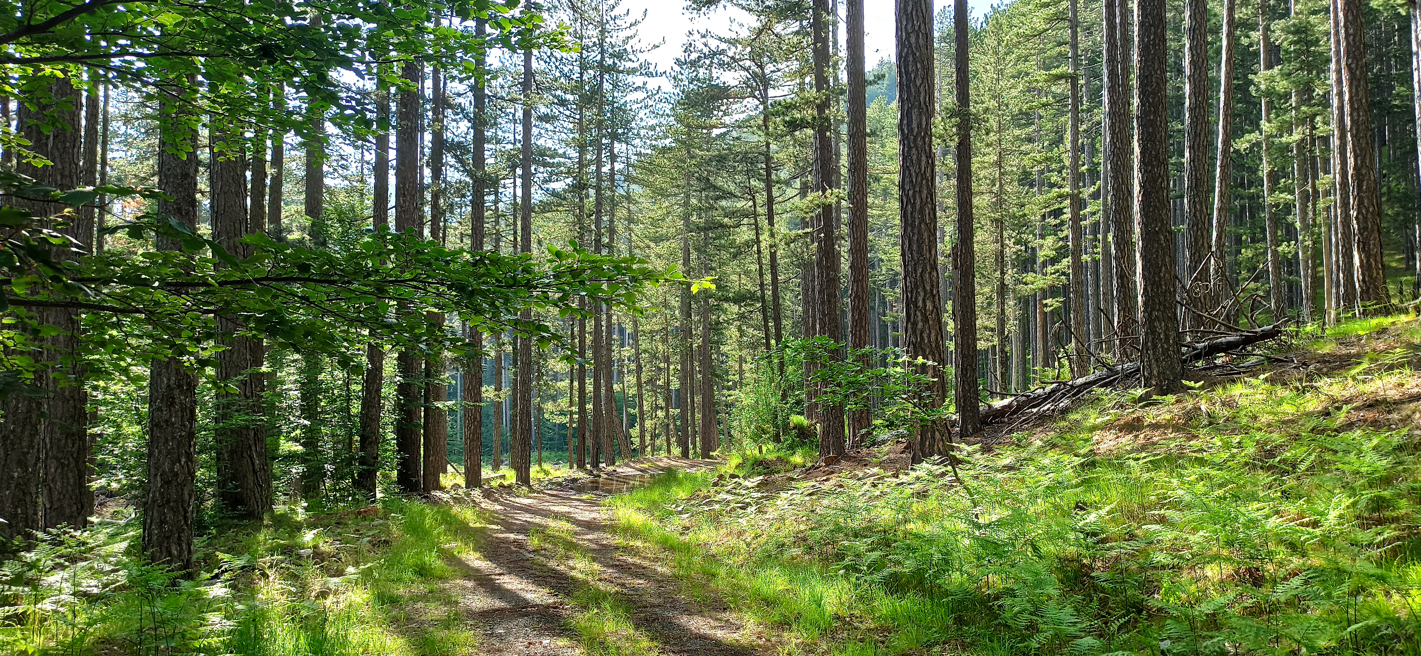 ΒΑΛΙΑ ΚΑΛΝΤΑ10